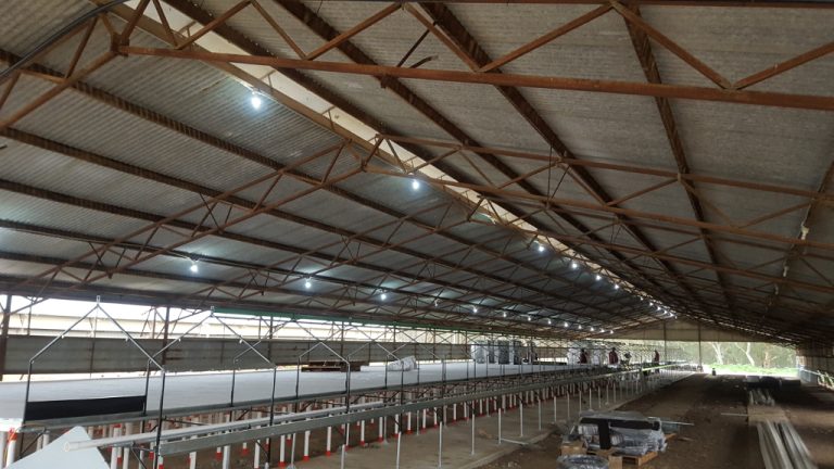 Chicken-Shed-Lighting